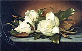 Martin Johnson Heade Famous Paintings - Giant Magnolias